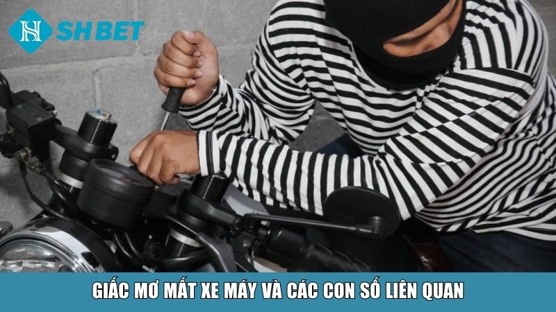 Giấc mơ mất xe máy và các con số liên quan