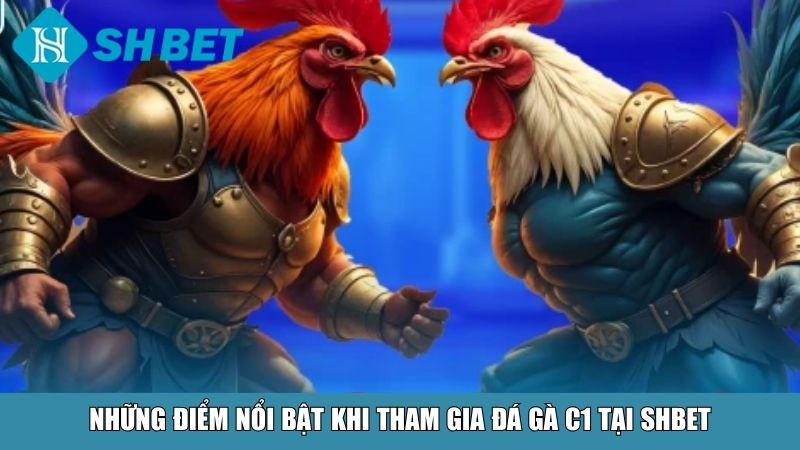 Những điểm nổi bật khi tham gia đá gà C1 tại SHBET