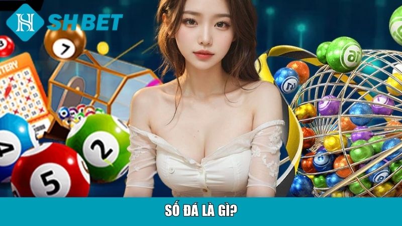 Số đá là gì?